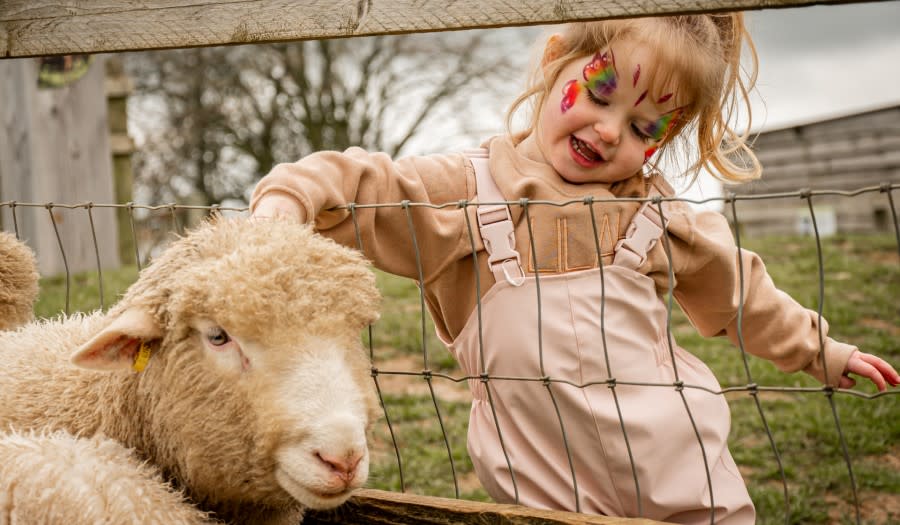 Cotswold Stay - Wonderful Winchcombe Lambing and Easter Fun at Cotswold Farm Park